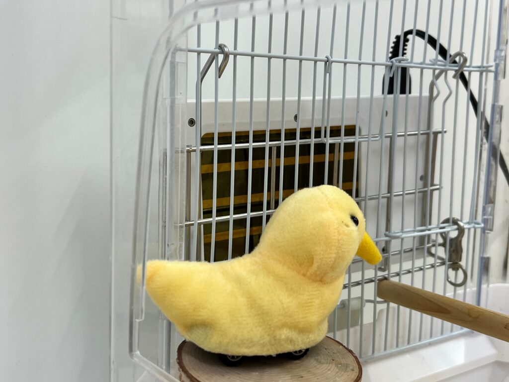 鳥かごの中にひよこのおもちゃ